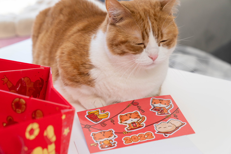 Year of the Ebi Tiger Stickers (Set of 3)